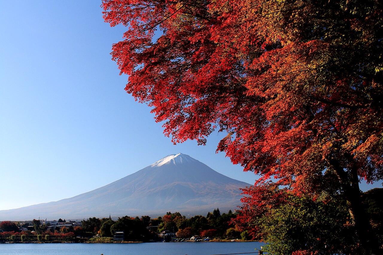 Mount Fuji from Lake Kawaguchi - Red autumn leaves and Mount Fuji seen from Lake Kawaguchi