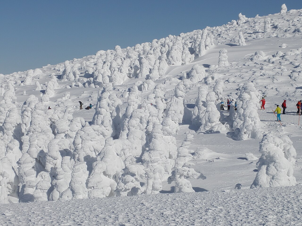 Zao Onsen - Snow monsters (juhyo) on the upper slopes of Zao Onsen